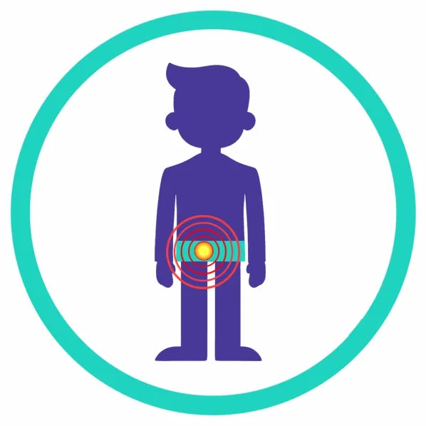 Specialist clinical icon for CPPS identifying the internal pelvic floor musculature as the primary source of pain for external focused shockwave treatment.