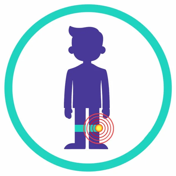 Specialist clinical icon for meniscus tears identifying the medial and lateral cartilage pads within the knee joint as the primary target for deep-penetrating focused shockwave treatment.