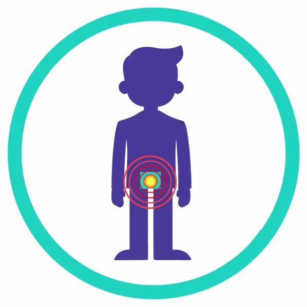 Specialist clinical icon for tailbone pain (coccydynia) identifying the coccyx bone and sacrococcygeal ligaments as the primary targets for focused shockwave treatment.